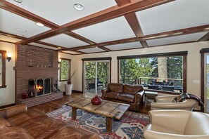 TV, fireplace, books