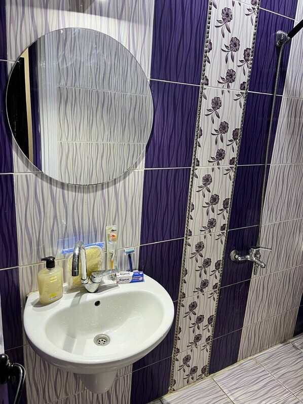 Jetted tub, towels, soap, shampoo - Very suitable for anyone looking for fun, excitement and history (Giza Governorate)
