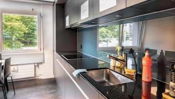 Eine moderne Küche mit einer Edelstahlspüle, einem Fenster mit Blick auf Grünflächen und einem eingebauten Backofen.