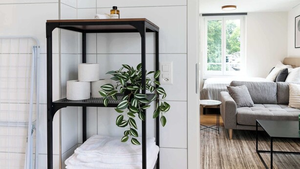 Un baño moderno con un estante metálico negro que contiene artículos de aseo, una planta en maceta y un perchero.