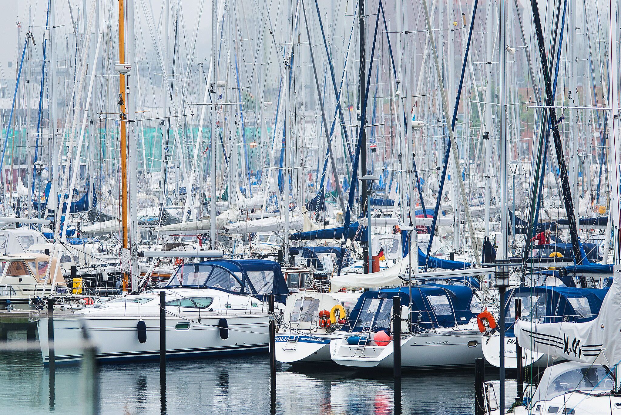 Marina