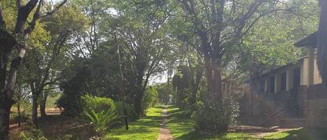 Un sendero bordeado por árboles y césped que conduce a un edificio de fachada de piedra.