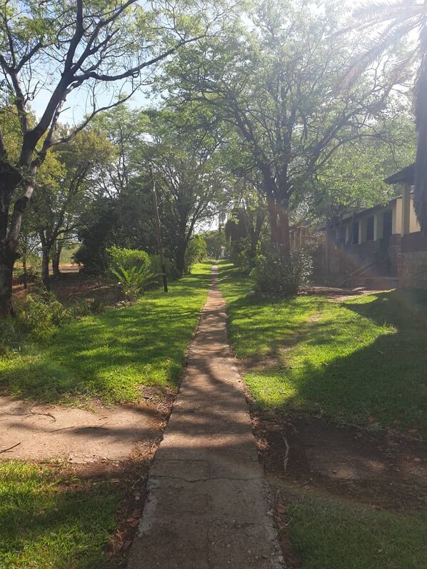A pathway flanked by trees and grass, leading to a building with a stone facade.