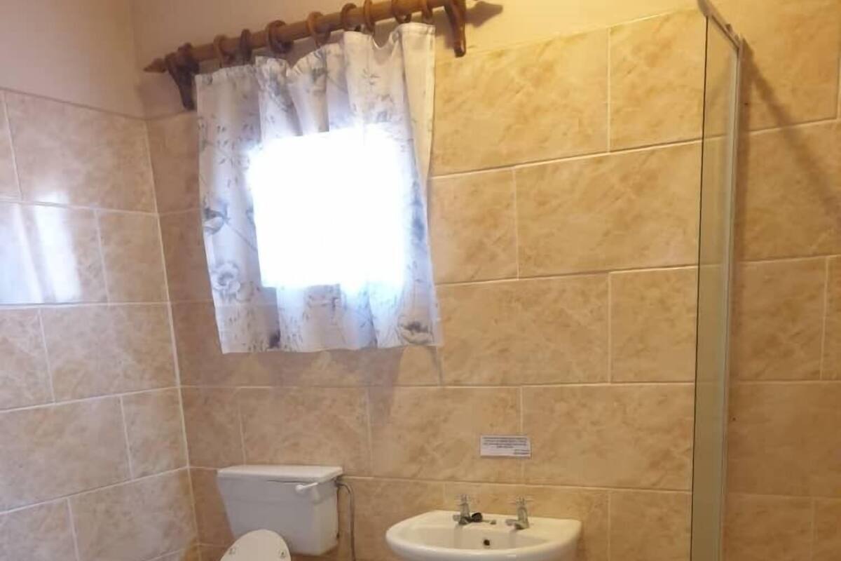 A bathroom with a toilet, sink, shower, and a window with a curtain.