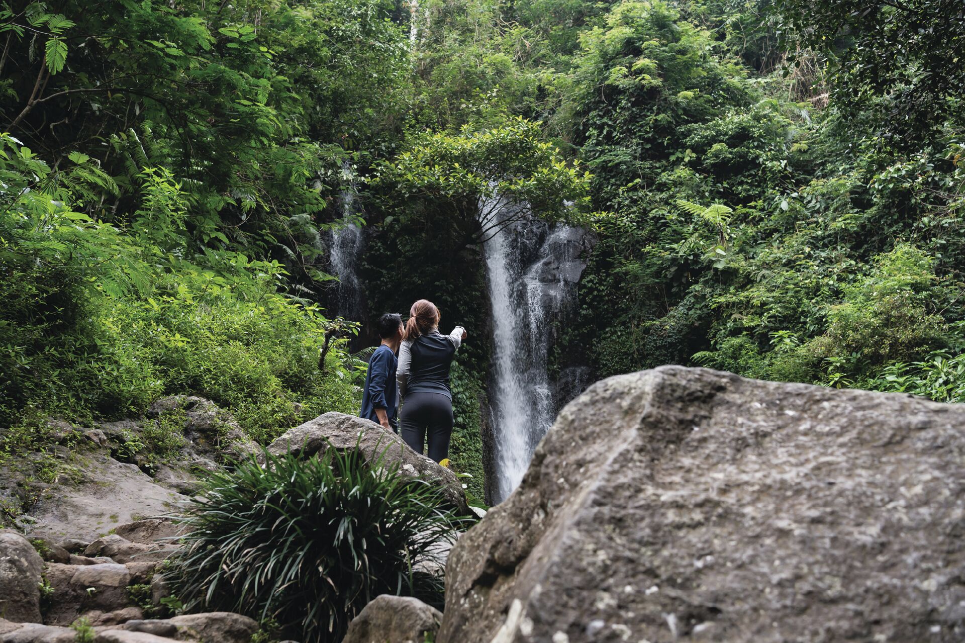 Paisagem natural com cachoeira e vegetação densa.