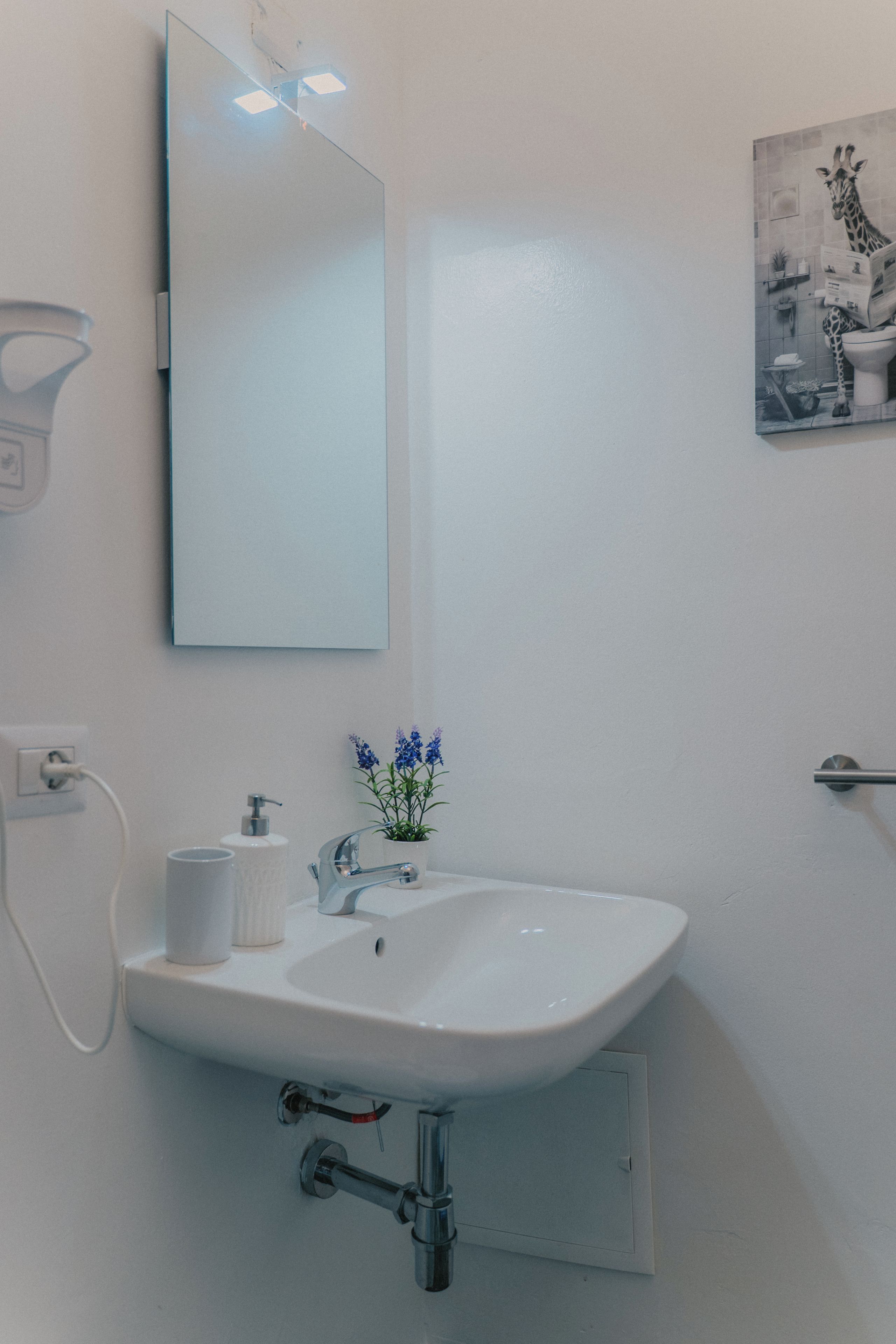 Een badkamer met een witte wastafel, een spiegel, een zeepdispenser en een potplant met blauwe bloemen.