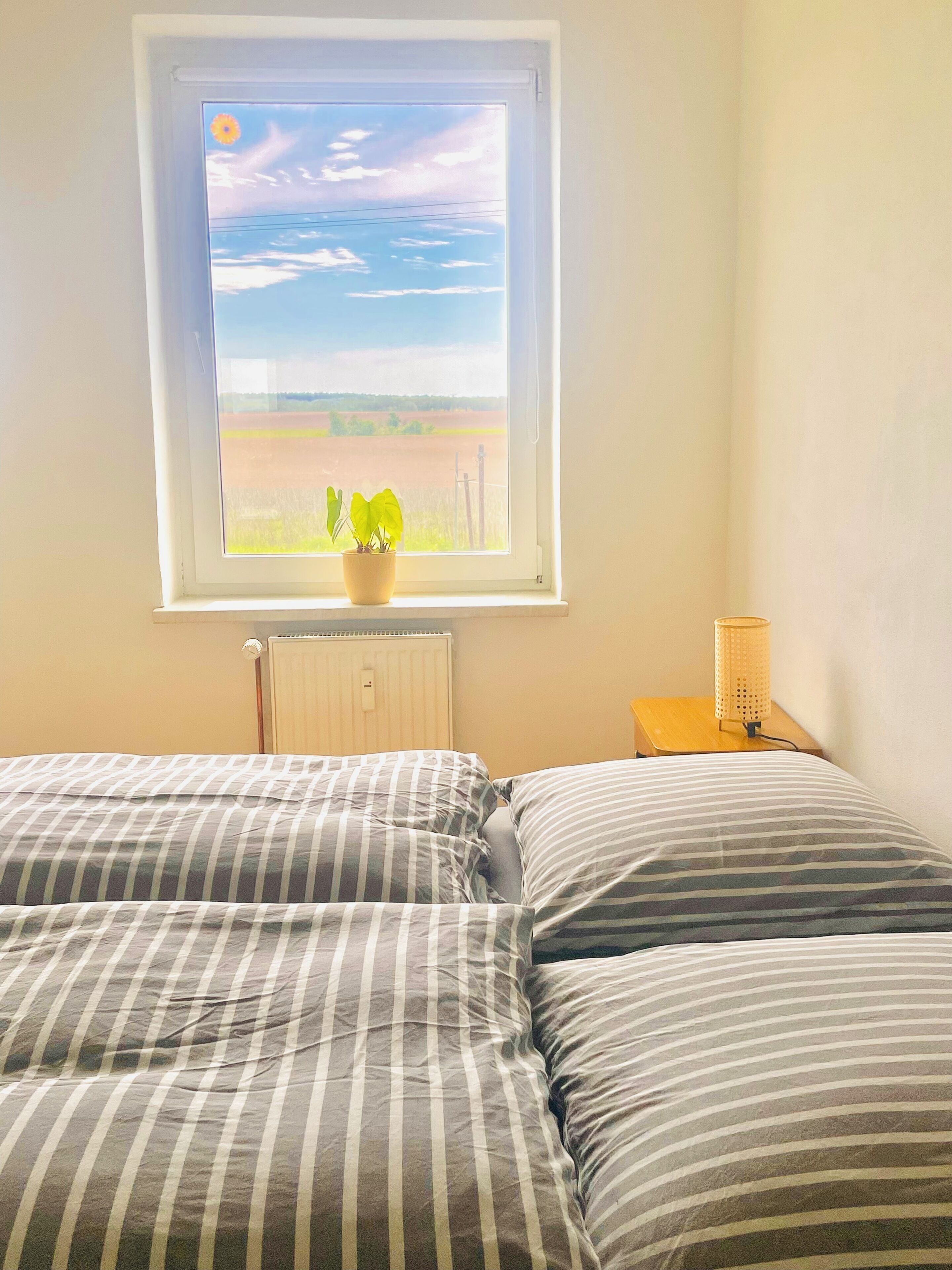 A bedroom with a window, a radiator, a bedside table with a lamp, and striped bedding.