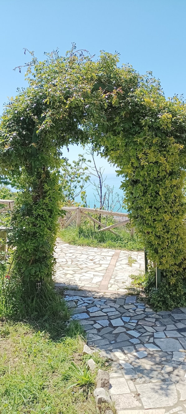 Property grounds - The Valley of the Cherries is a farmhouse that overlooks the sea (Calabria)