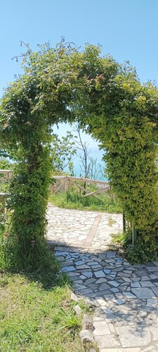 The Valley of the Cherries is a farmhouse that overlooks the sea