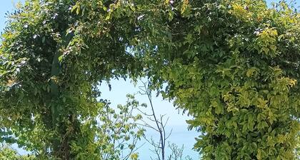 The Valley of the Cherries is a farmhouse that overlooks the sea