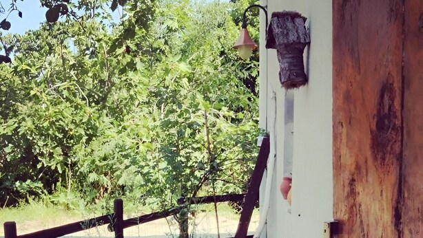 Une terrasse en bois avec une table et des chaises, entourée de verdure et d’une clôture.