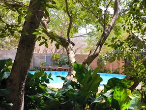 Pool - Luxury Loft 2 Levels in Boutique Lodge 2 Ask About our Free Tour (Victoria Falls)