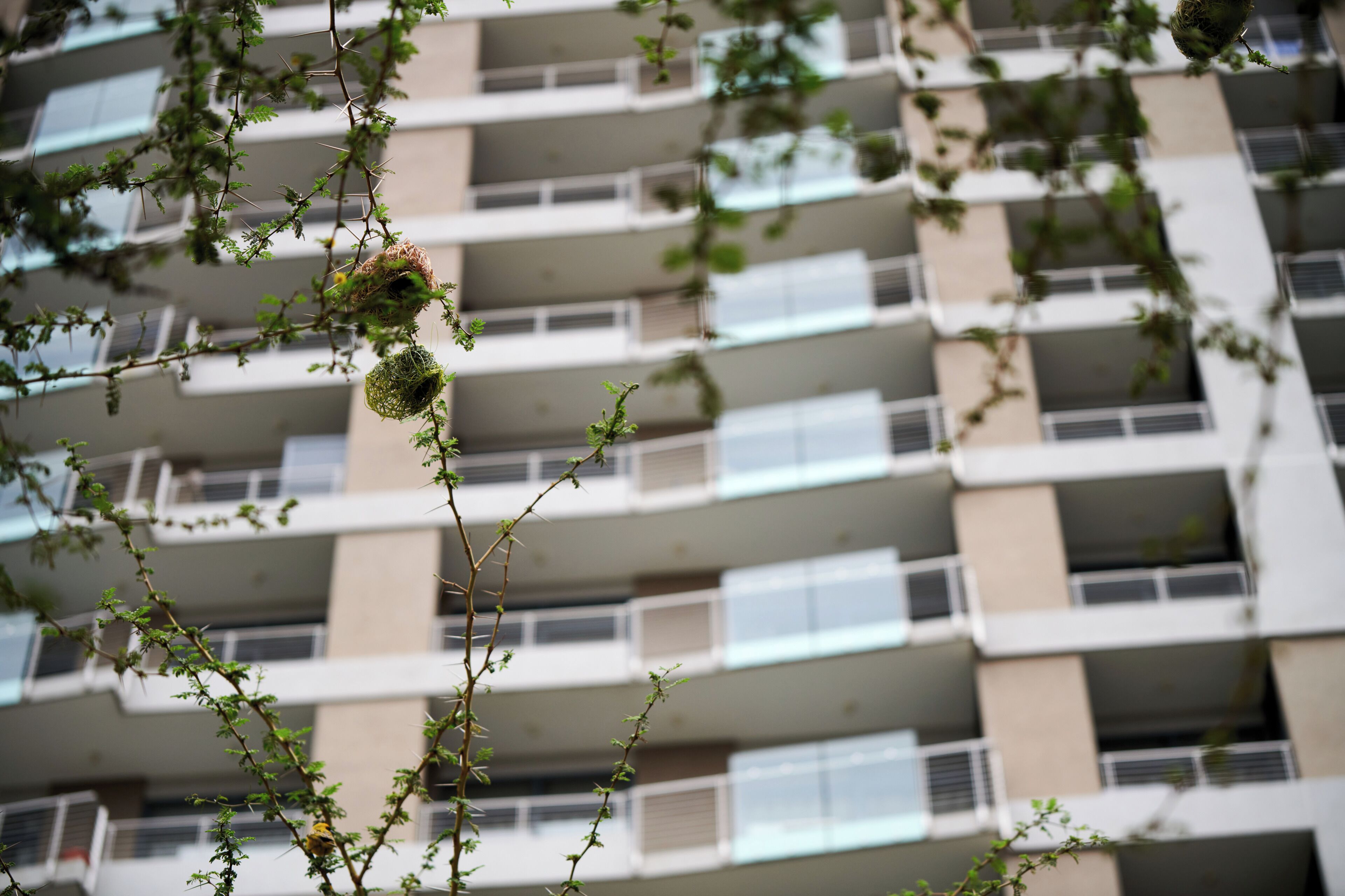 Detalle exterior