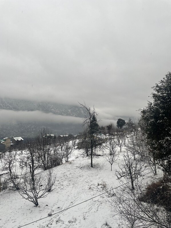 A snowy landscape with bare trees and a distant view of a town. - Hotel Cherry Manali (Manali)