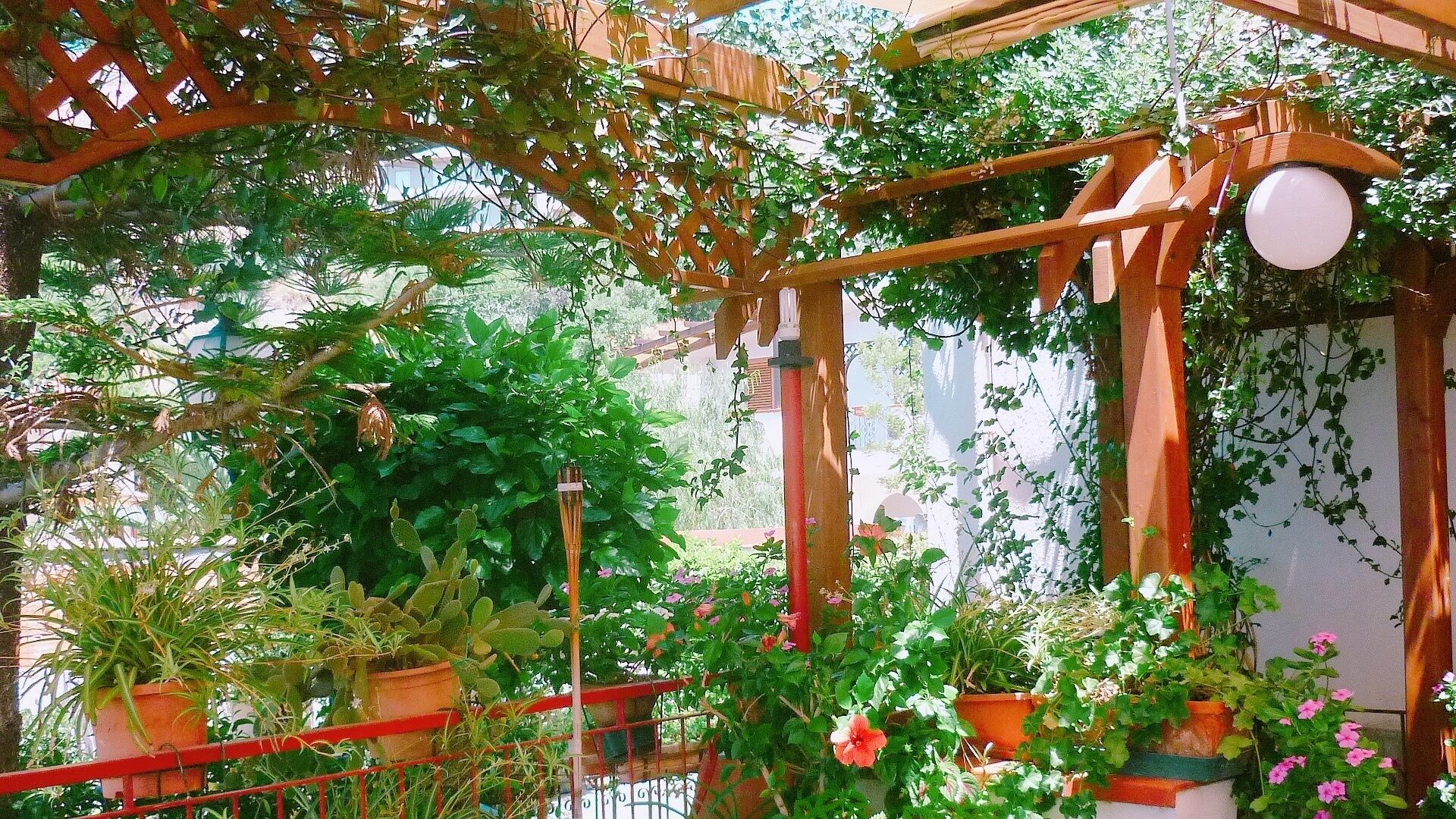 A wooden pergola structure with climbing plants and potted flowers.