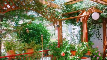 A wooden pergola structure with climbing plants and potted flowers.