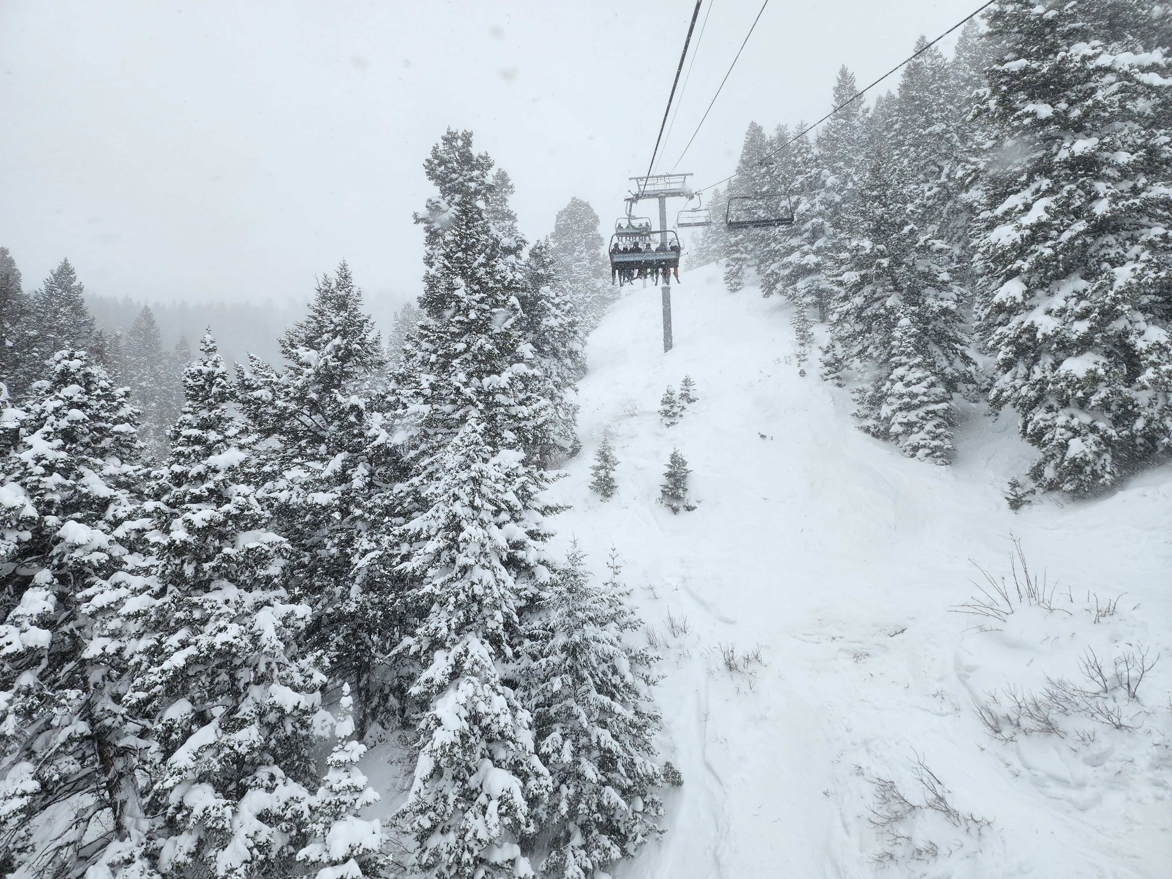 A ski lift in a snowy forest.