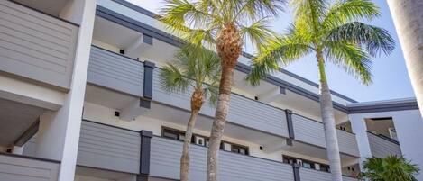A multi-story building with balconies and palm trees.