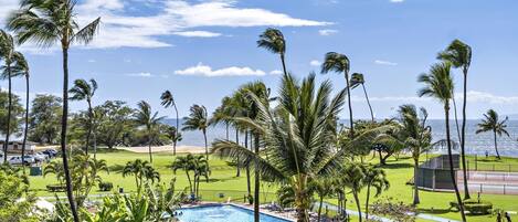 Condo, 1 Bedroom | Pool