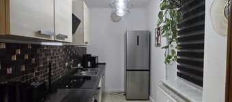 Cozy, pet-friendly one-bedroom apartment in Meißen