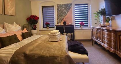 Cozy, pet-friendly one-bedroom apartment in MeiĂen