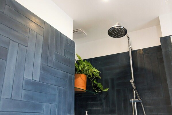 Shower, hair dryer, towels