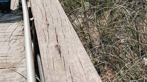 A wooden boardwalk leading to a building with a blue roof, surrounded by tall grasses and a clear sky. - High Tide at CB - 75 steps to Beach Access (Carolina Beach)