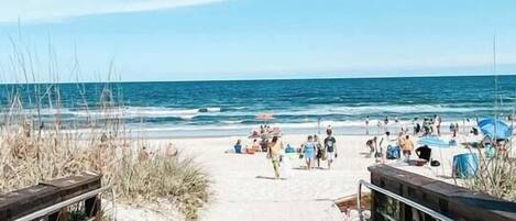 Nära stranden