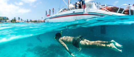 Apartment (1 Bedroom) | Property amenity