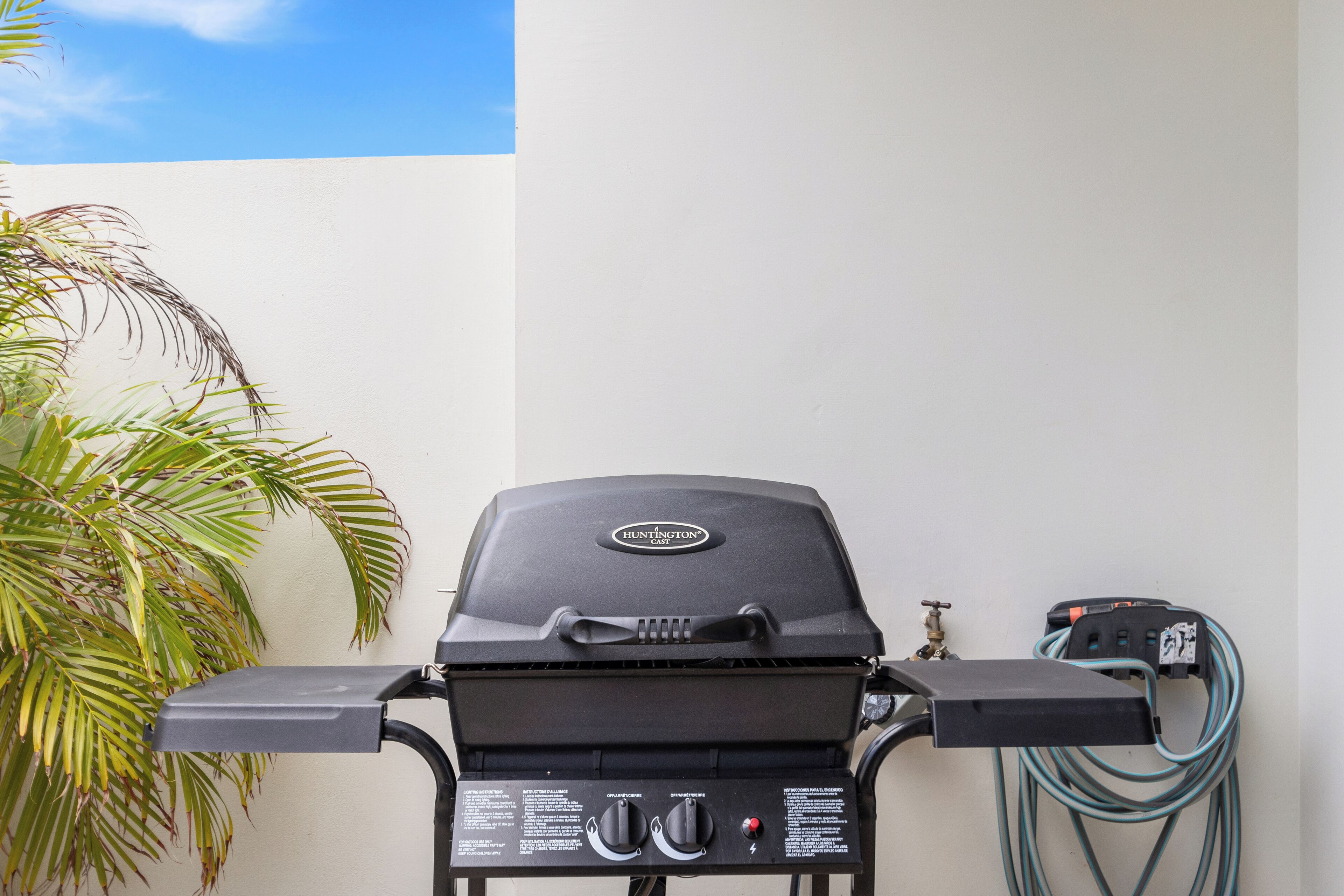 Ein Grill mit Bedienelementen und einem Schlauch, vor einer Wand mit einer Palme.