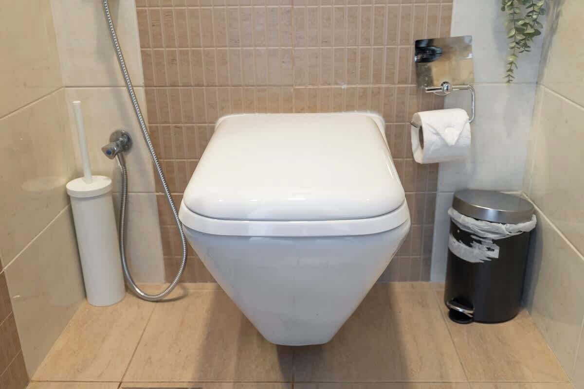 A bathroom with a white toilet, a handheld showerhead, a toilet paper holder, and a trash bin.