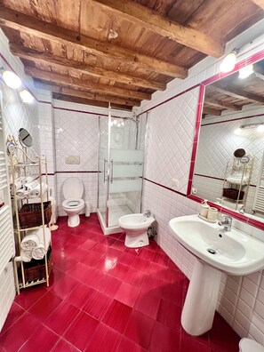 Dusche, Regendusche, Haartrockner, Bidet