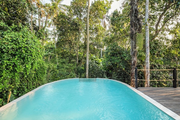 Unclassified image, 1 of 96, button - Jungleight Bali (Tegallalang)