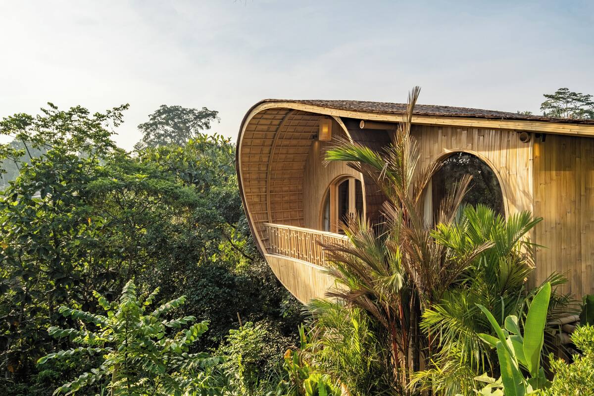 A unique, curved wooden structure surrounded by lush greenery.