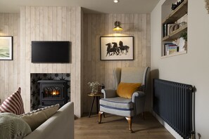 TV, fireplace, books