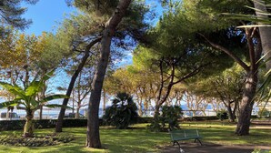 Un parque con un banco, árboles y cielo despejado.