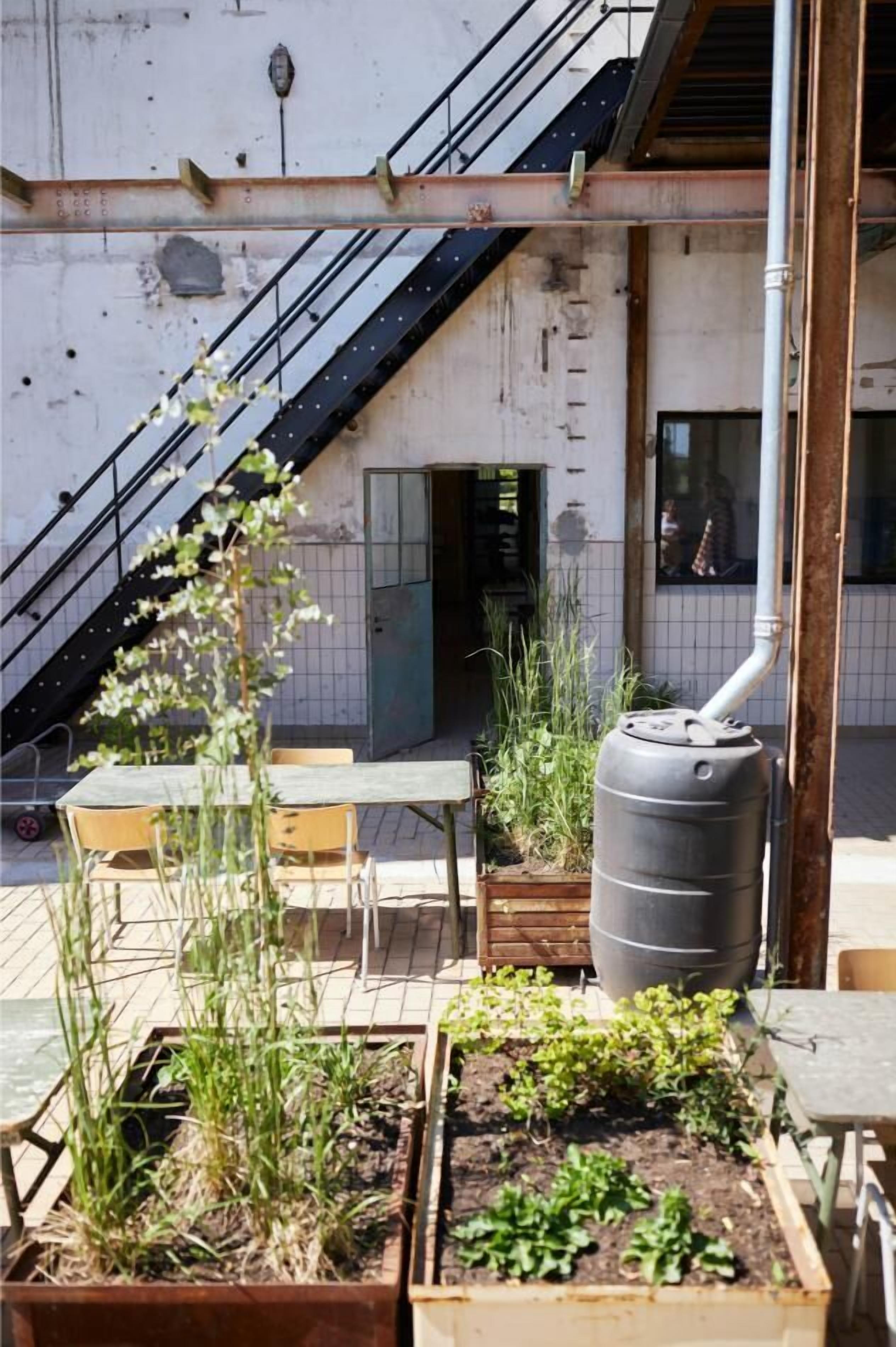 Une terrasse extérieure avec une table et des chaises, un réservoir d’eau et des jardinières surélevées où sont plantées différentes espèces.