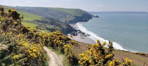 Beach - Yr Hal, Llangrannog - Two Bedroom Cottage, Sleeps 5 (Llangrannog)