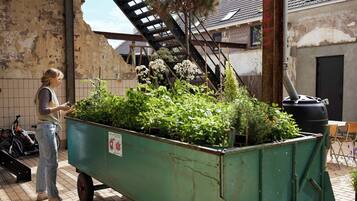 Terrein van de accommodatie