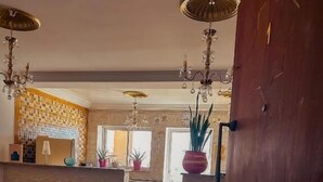 Un salón moderno con un sofá, una mesa de centro y plantas decorativas.
