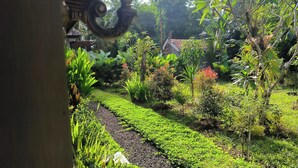 Un jardin où l’on trouve une grande variété de plantes, avec un petit bâtiment en arrière-plan.