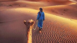 A desert landscape with sand dunes and a camel.