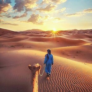 Miscellaneous - Starry Sky Overnight Nomadic Camping (Merzouga)