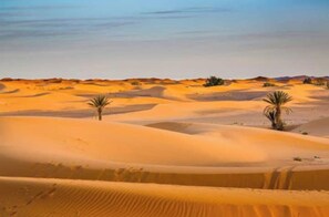 Miscellaneous - Starry Sky Overnight Nomadic Camping (Merzouga)