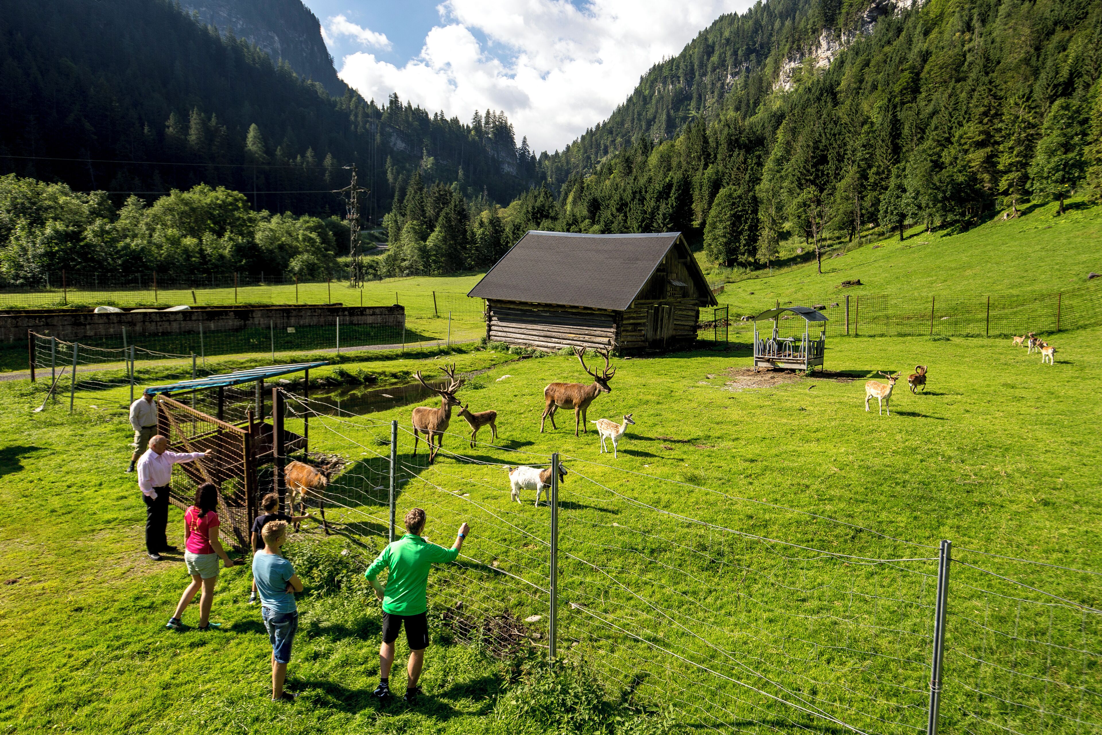 A rural landscape with a fenced area, a wooden cabin, and a group of people observing wildlife.