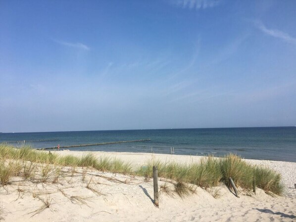 Beach - Dune Sea Brauer Family (Zingst)