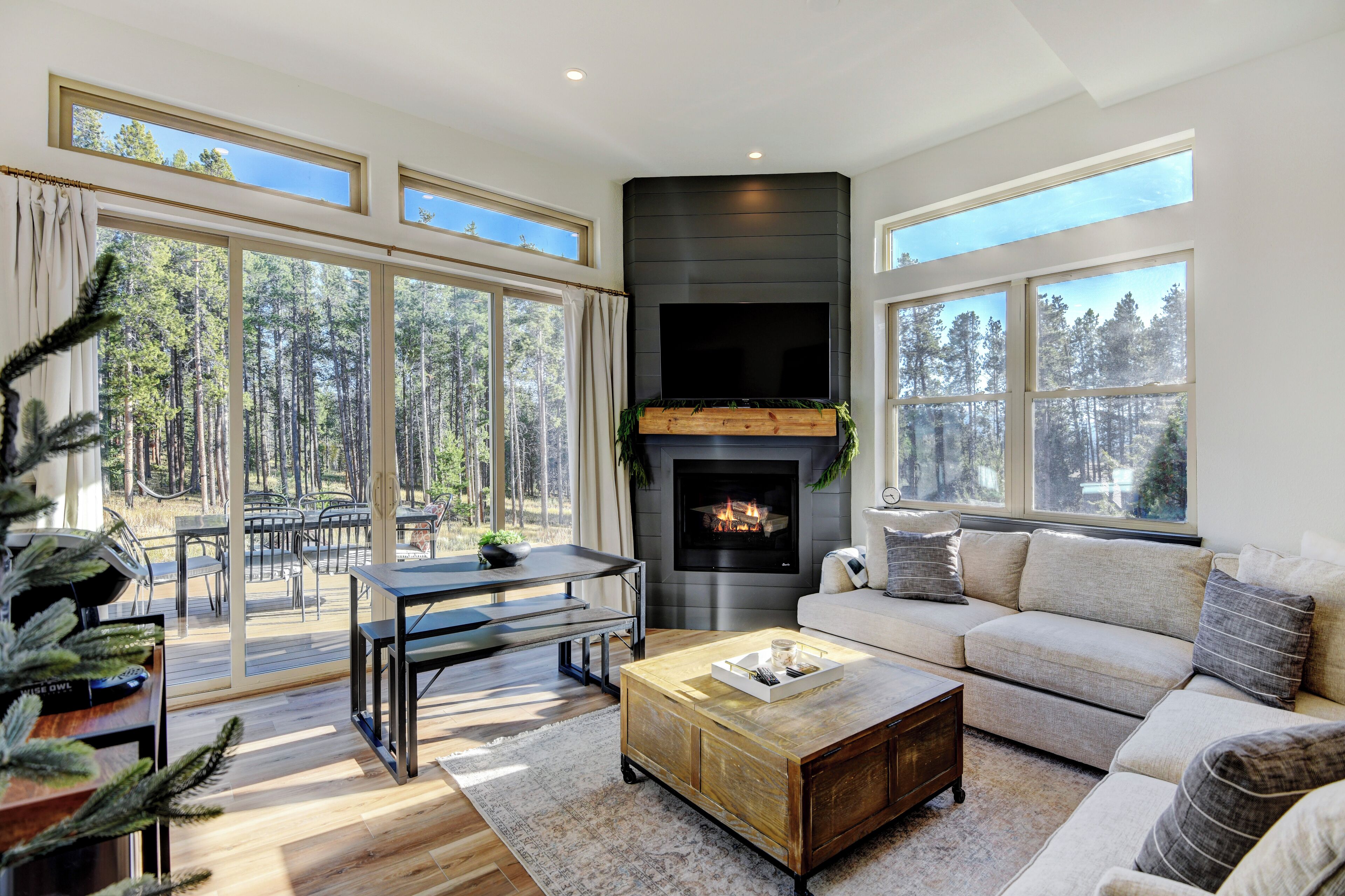 Smart TV, fireplace, video games, books