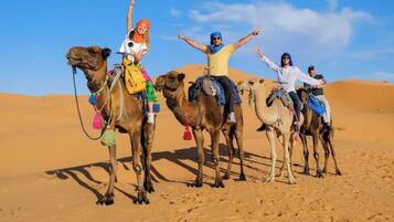 A group of people riding camels in a desert.