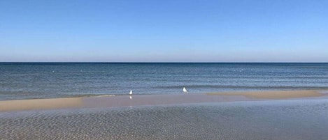 Mobile Unterkunft | Strand