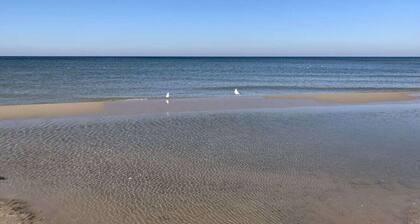 Surf'n'beach Comfortable Holiday Residence